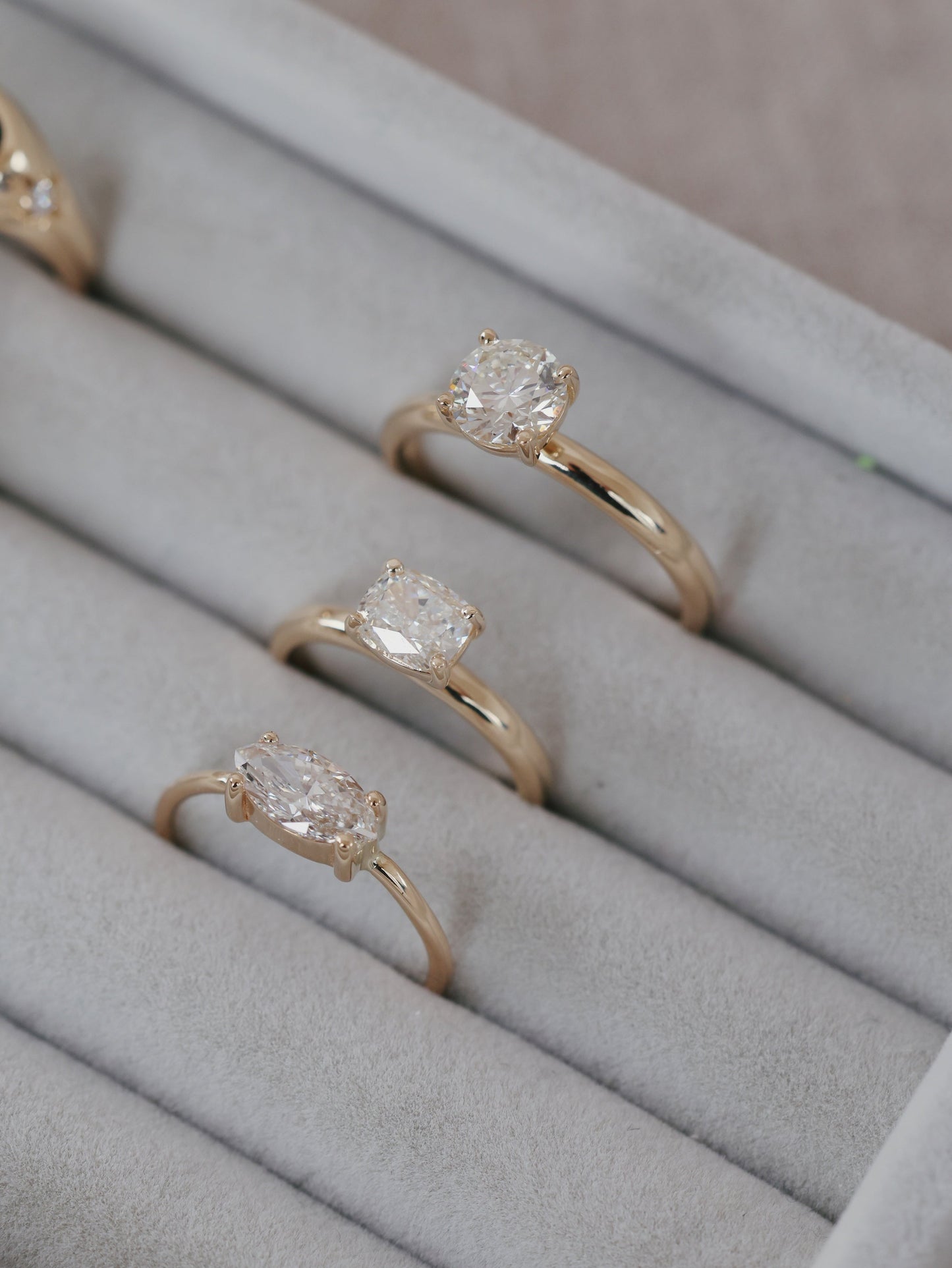 Anna Ring